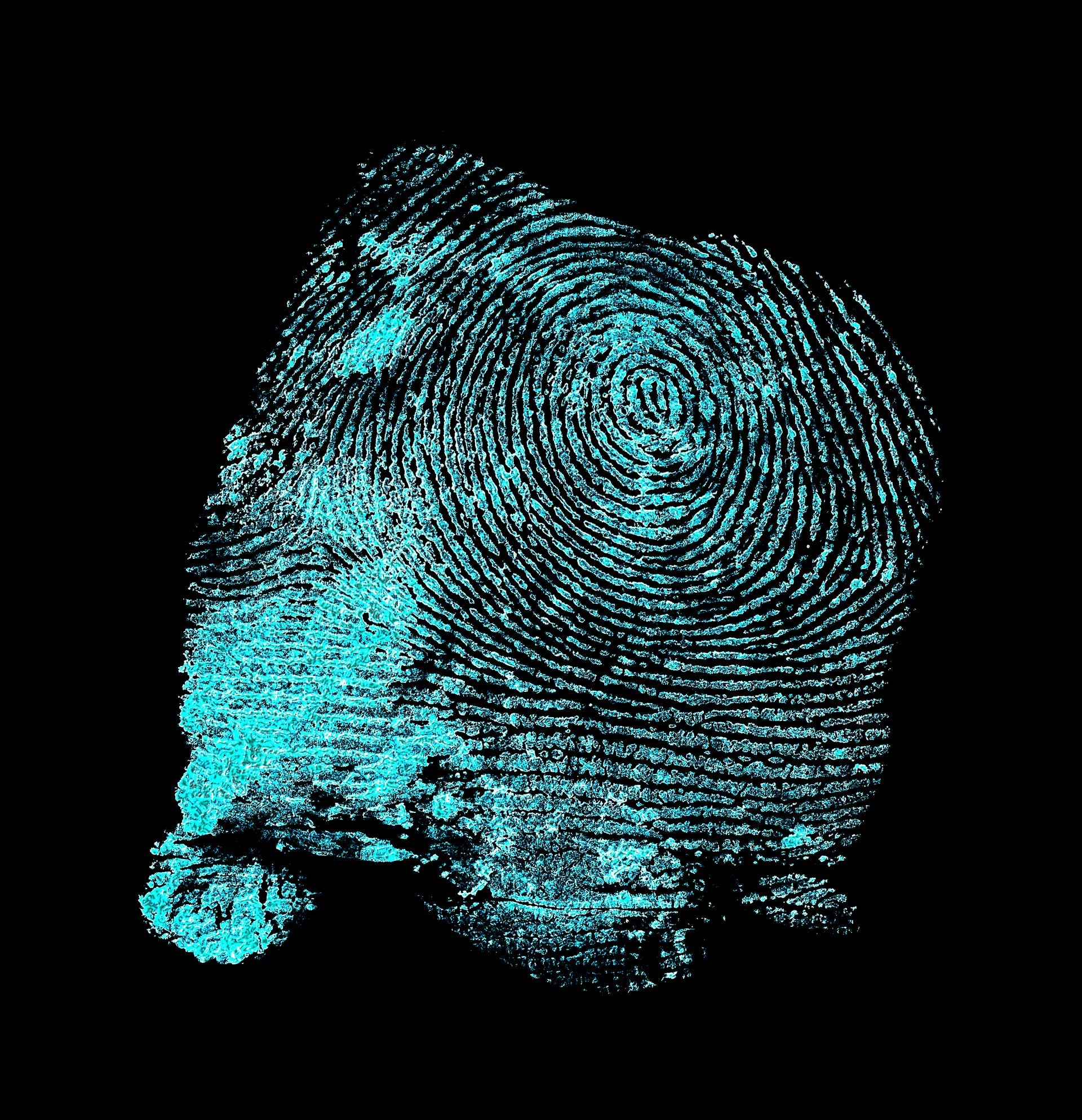 Concept of crime scene - Fingerprint with ultraviolet lamp. Fingerprint on black background. 